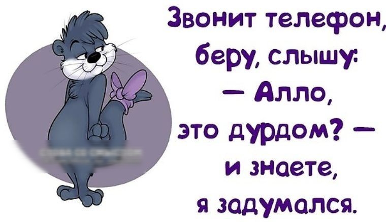 Звонит телефон е беру слышт Алло это дурдом и знаете я задумался сппвп сп сиысппм