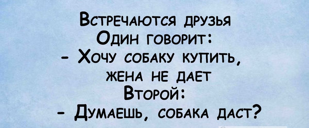 Встречдются дгузья Один говорит Хочу совдку купить ЖЕНА не плег Второй Думдешь СОБАКА дАст