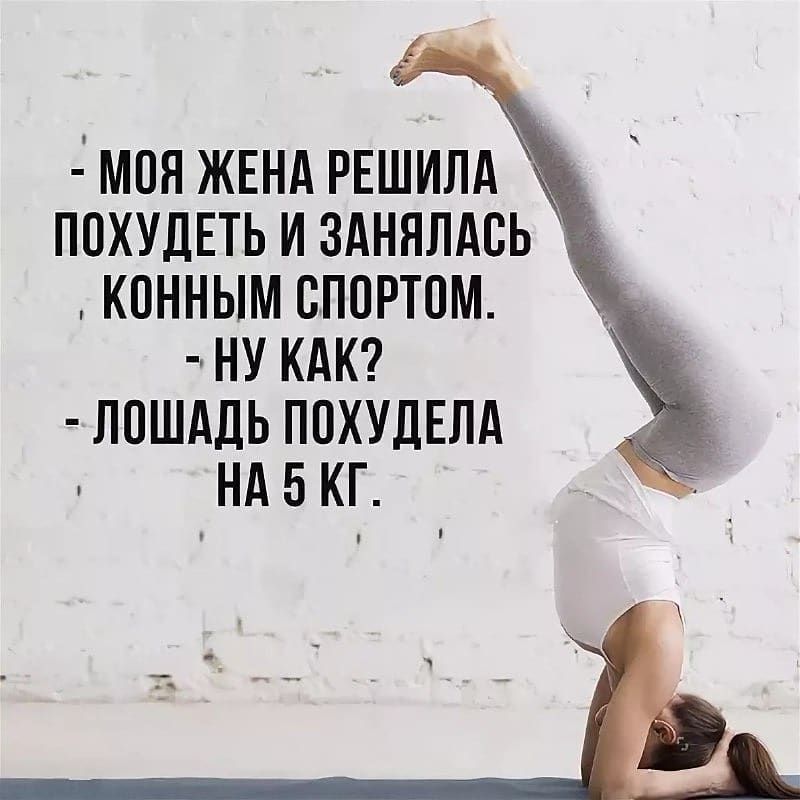 МПП ЖЕНА РЕШИЛА ПОХУДЕТЬ И ЗАНППАСЬ КПННЫМ ВППРТПМ НУ КАК ЛОШАДЬ ППХУДЕЛА НА 5 КГ