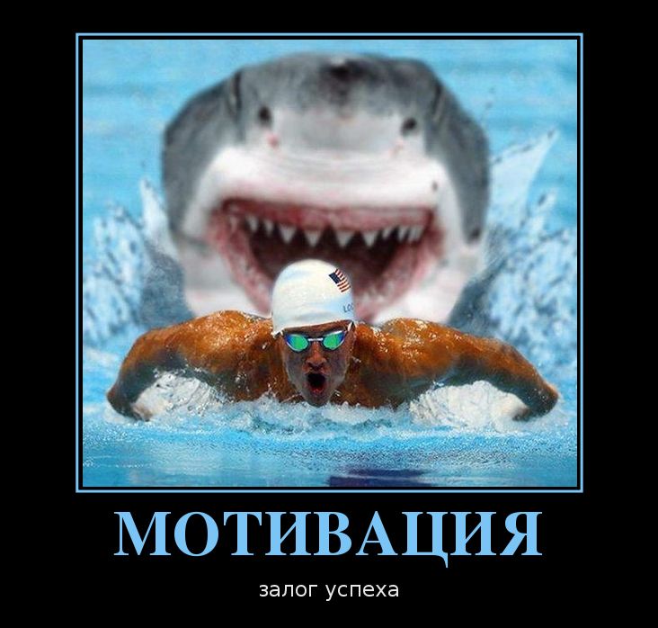 МОТИВАЦИЯ