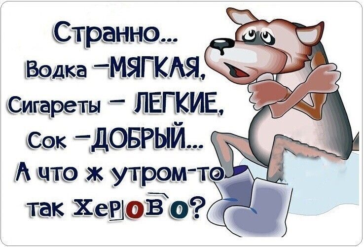 Странно Водка тМЯПКАЯ Сигдрвты ШЕП ИЕ Сок Д А что ущ тю так ХСШОФ