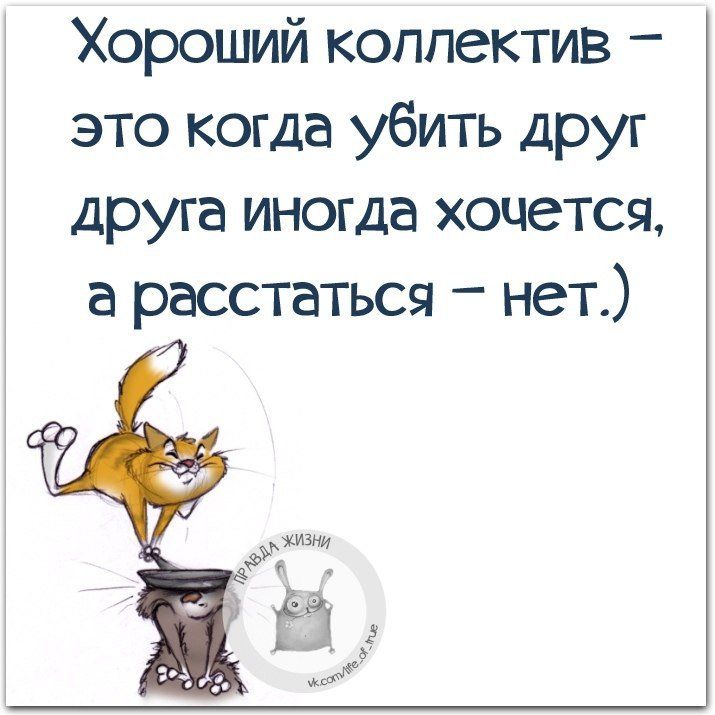Хороший коппектив это когда убить друг друга иногда хочется а расстаться нет