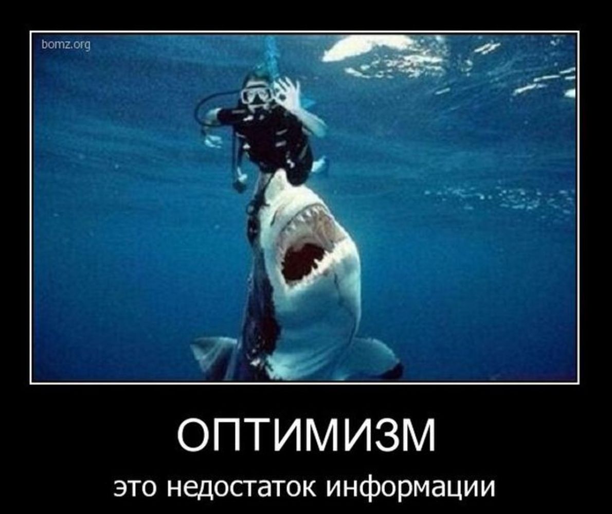 ОПТИМИЗМ ЭТФ недосгаток информации