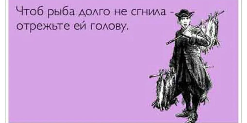 Чтоб рыба Аодго не СГНИАа отрежьте еи гомпву