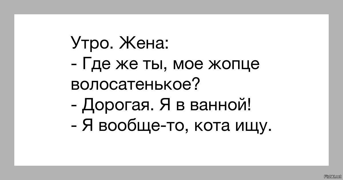 Утро Жена Где же ты мое жопце волосатенькое дорогая Я в ванной Я вообще то кота ищу