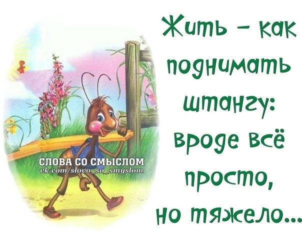 штангу вроуе всё просто но тяжело