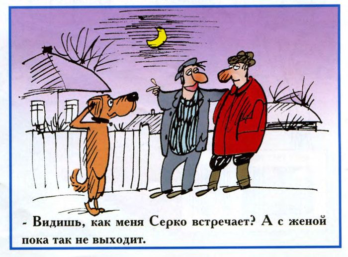 вид меия Серка встречает А с ч пока так не вьіхвдит