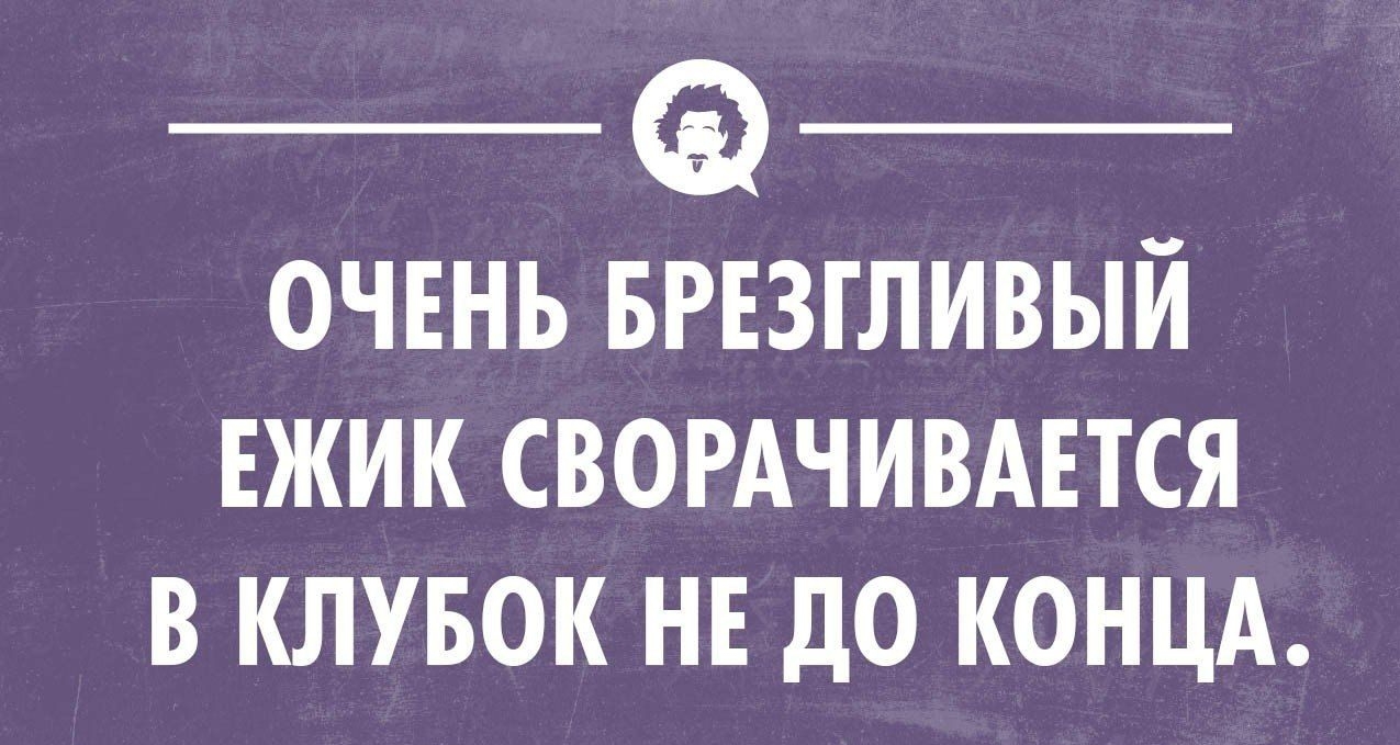 ОЧЕНЬ БРЕЗГЛИВЫЙ ЕЖИК СВОРАЧИВАЕТСЯ В КЛУБОК НЕ до КОНЦА о _