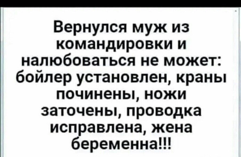 Вернулся муж из командировки и налюбоваться не может бойлер установлен краны починены ножи заточены проводка исправлена жена беременна
