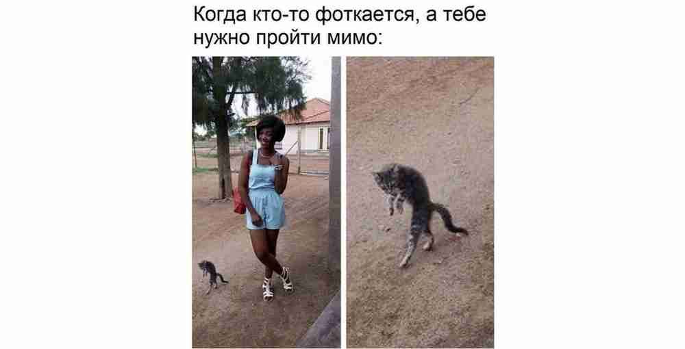Квгдв т ю фашветж а тебе нужно проти мимо