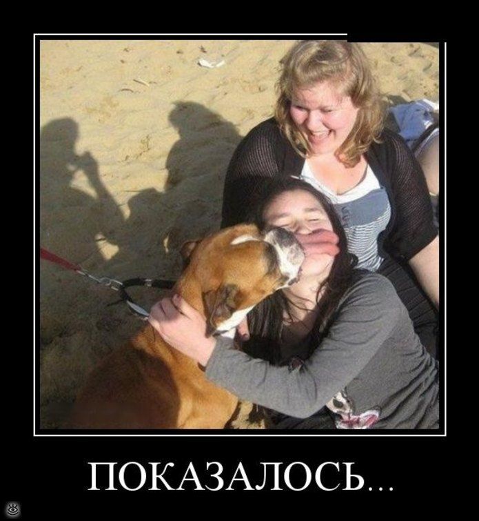 ПОКАЗАЛОСЬ