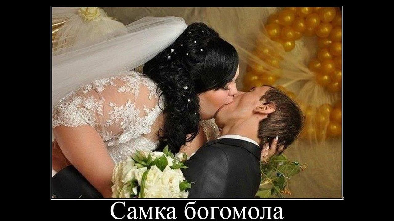 _ _ д Ь Самка богомола