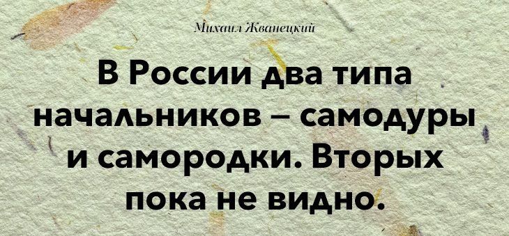 н В России два типа начадьников самодуры и самородки Вторых пока не ВИДНО