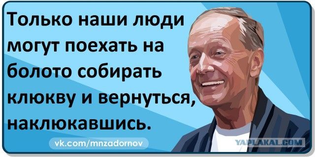 Только наши люди могут поехать на болото собирать клюкву и вернуться наклюкавшись