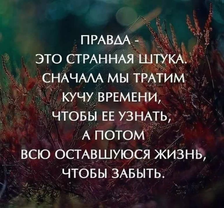 это СТРАННАЯ т СНАЧААА мы тратим кучу ВРЕМЕНИ чтовы ЕЕ УЗНАТЬ А потом всю ОСТАвшуюся жизнв ЧТОБЫ ЗАБЫТЬ