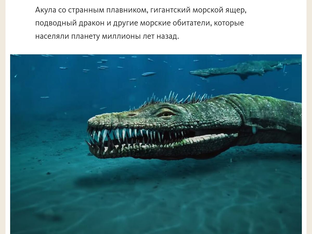 рзинымппиюшмгпгы пппгпдныйпрчупнидйгиі примаши тарм чнпнппзнг д ип