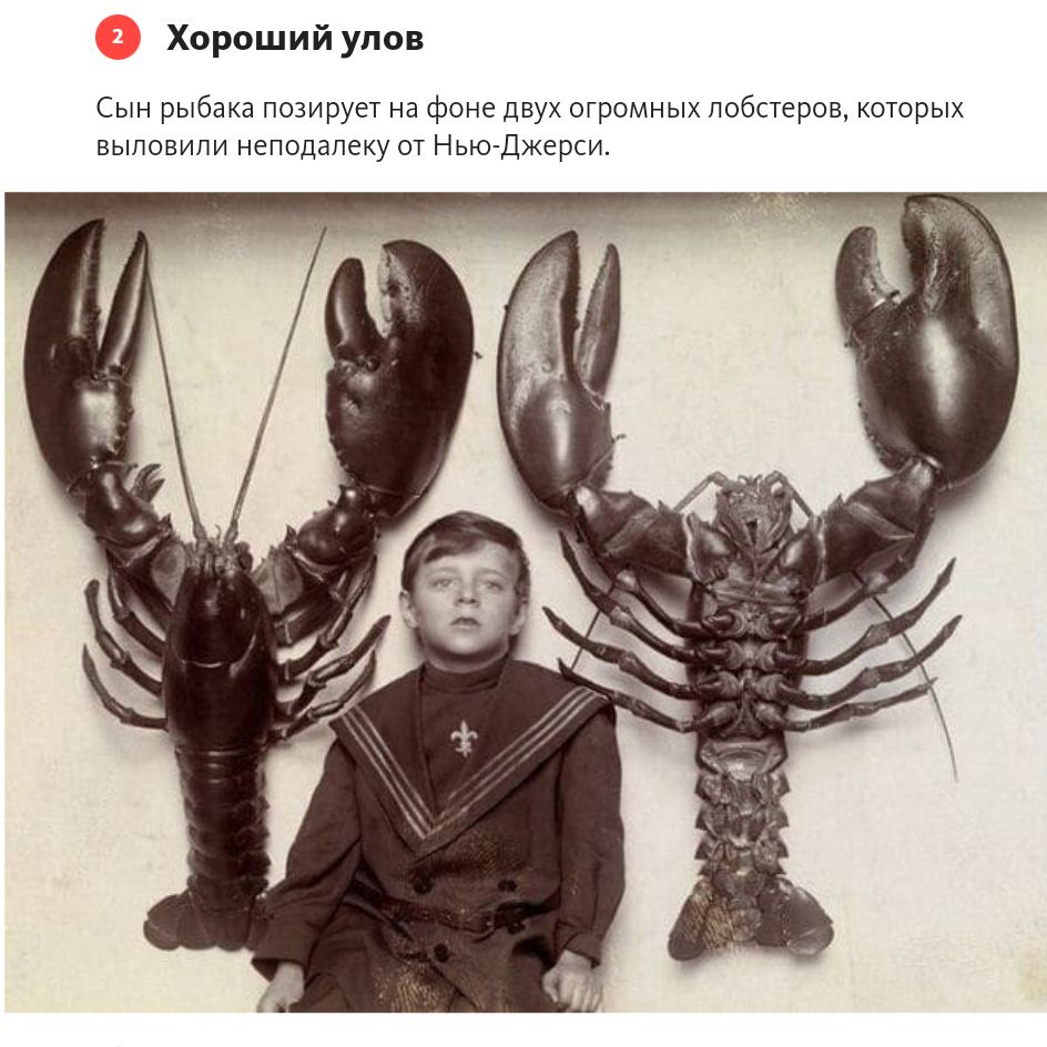 Хороший улов Сын рыбак потируеч ип двух огромных ппбпепав штрих выловили непьдалеку от нью Джерки