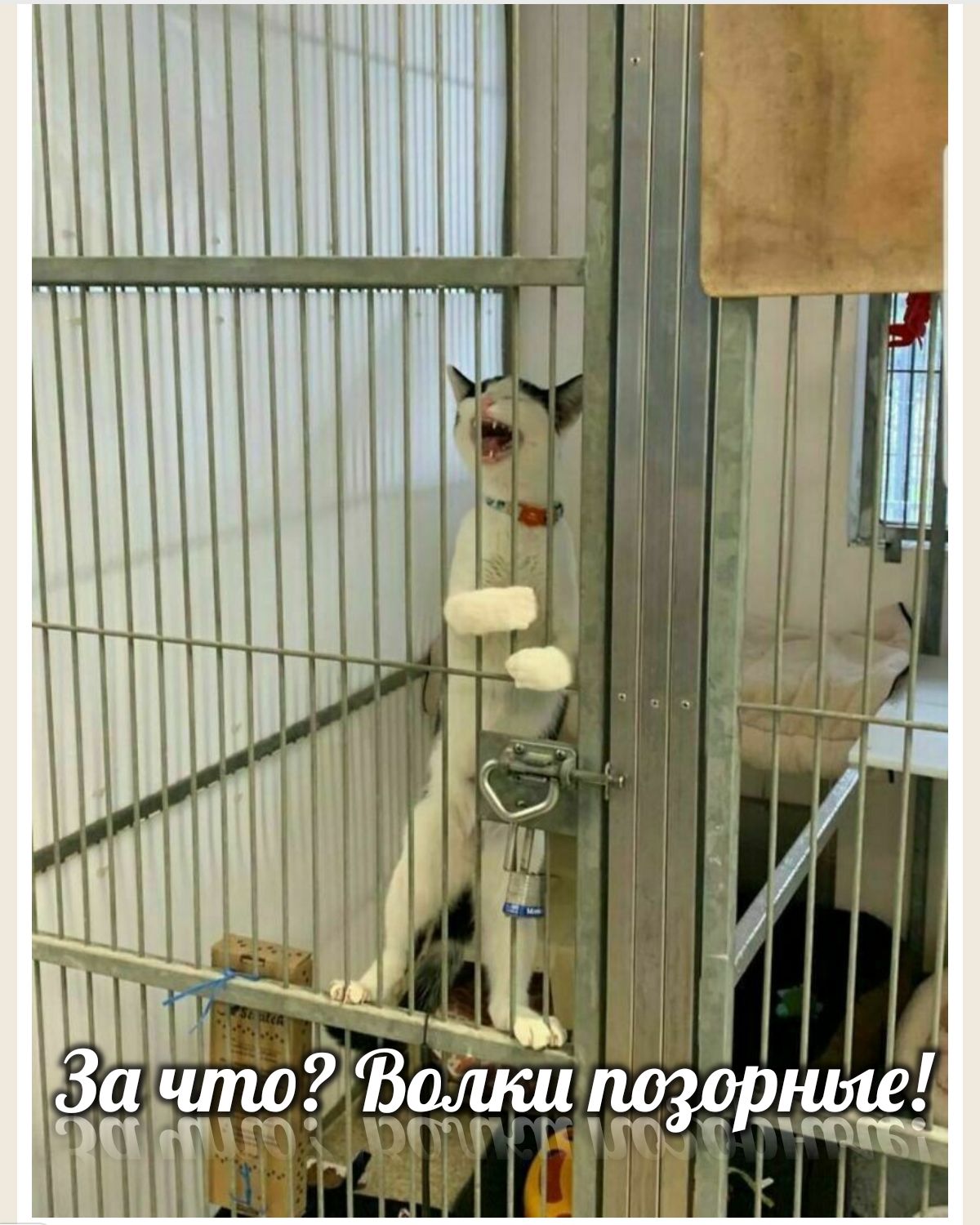Ы Ъ _ пшик 1