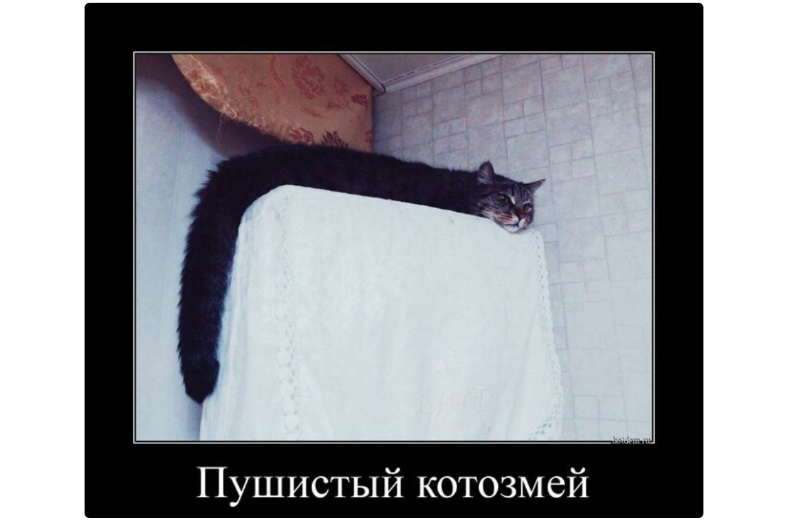 Пушистый котозмей