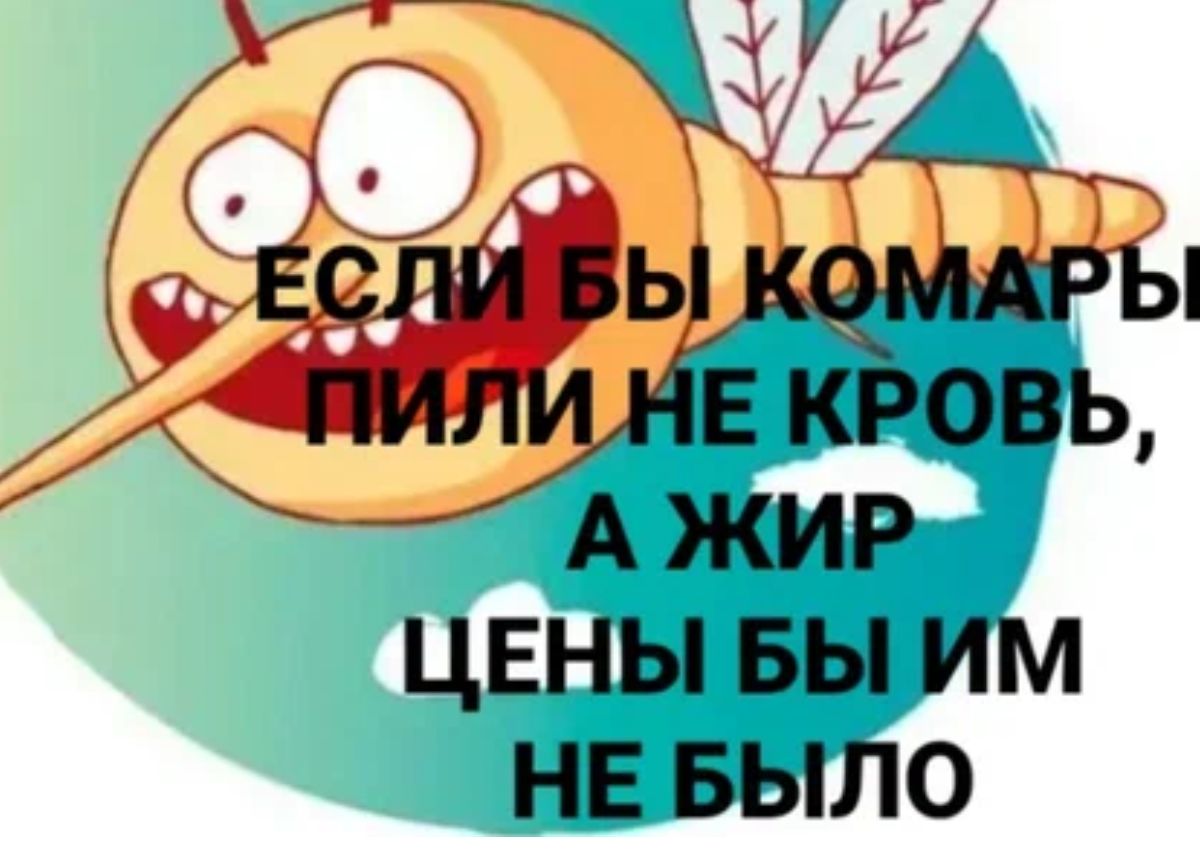 ЦЕНЫ БЫ ИМ НЕ БЫЛО