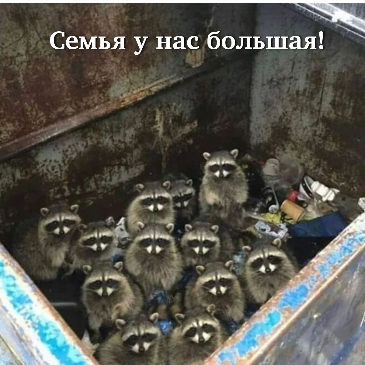 Семья у нас большая