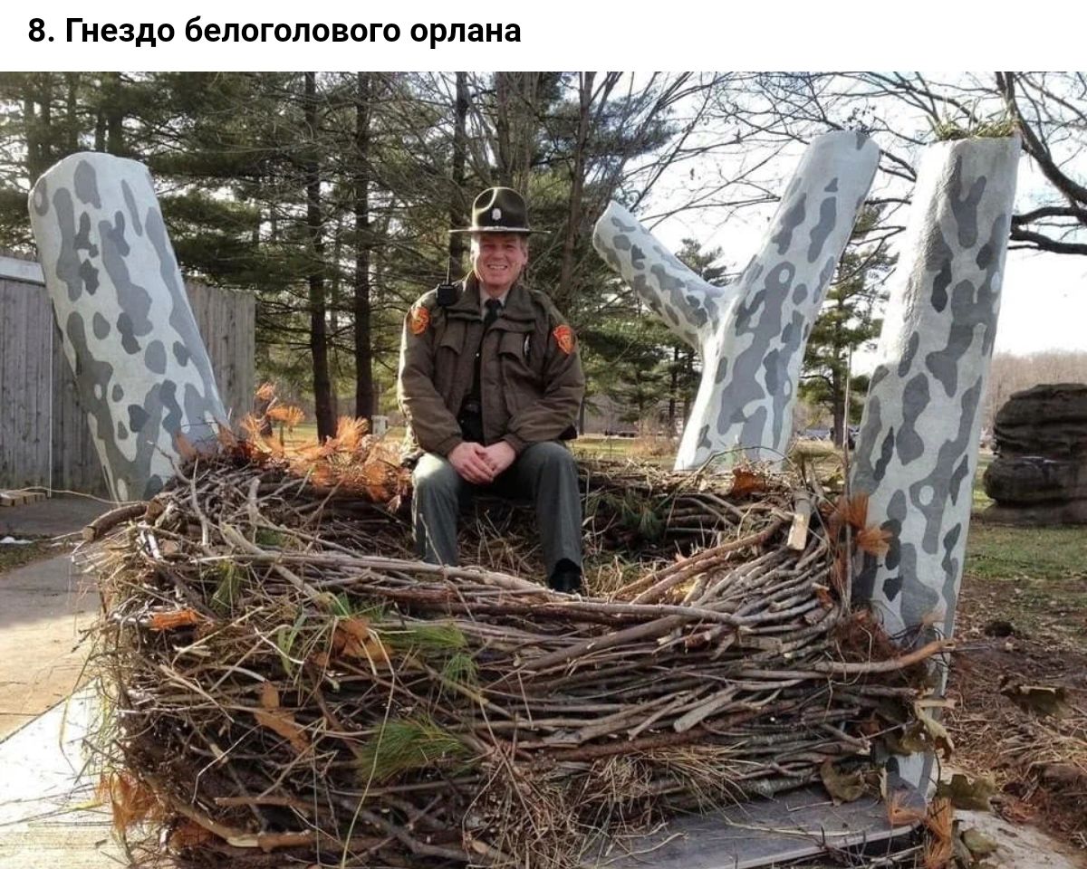 в Гнездо Бепптповпт прпаиз