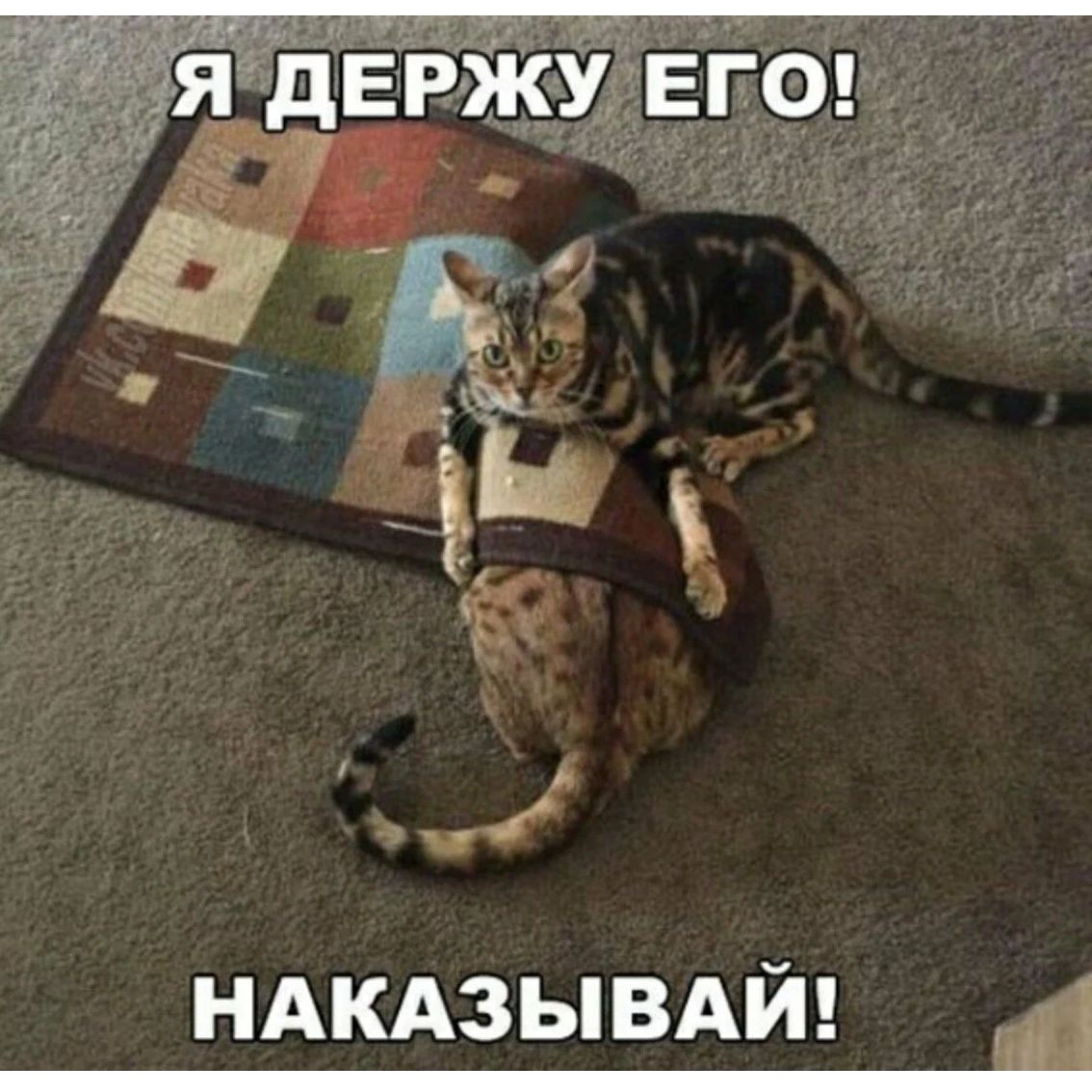 ндкдзывдй