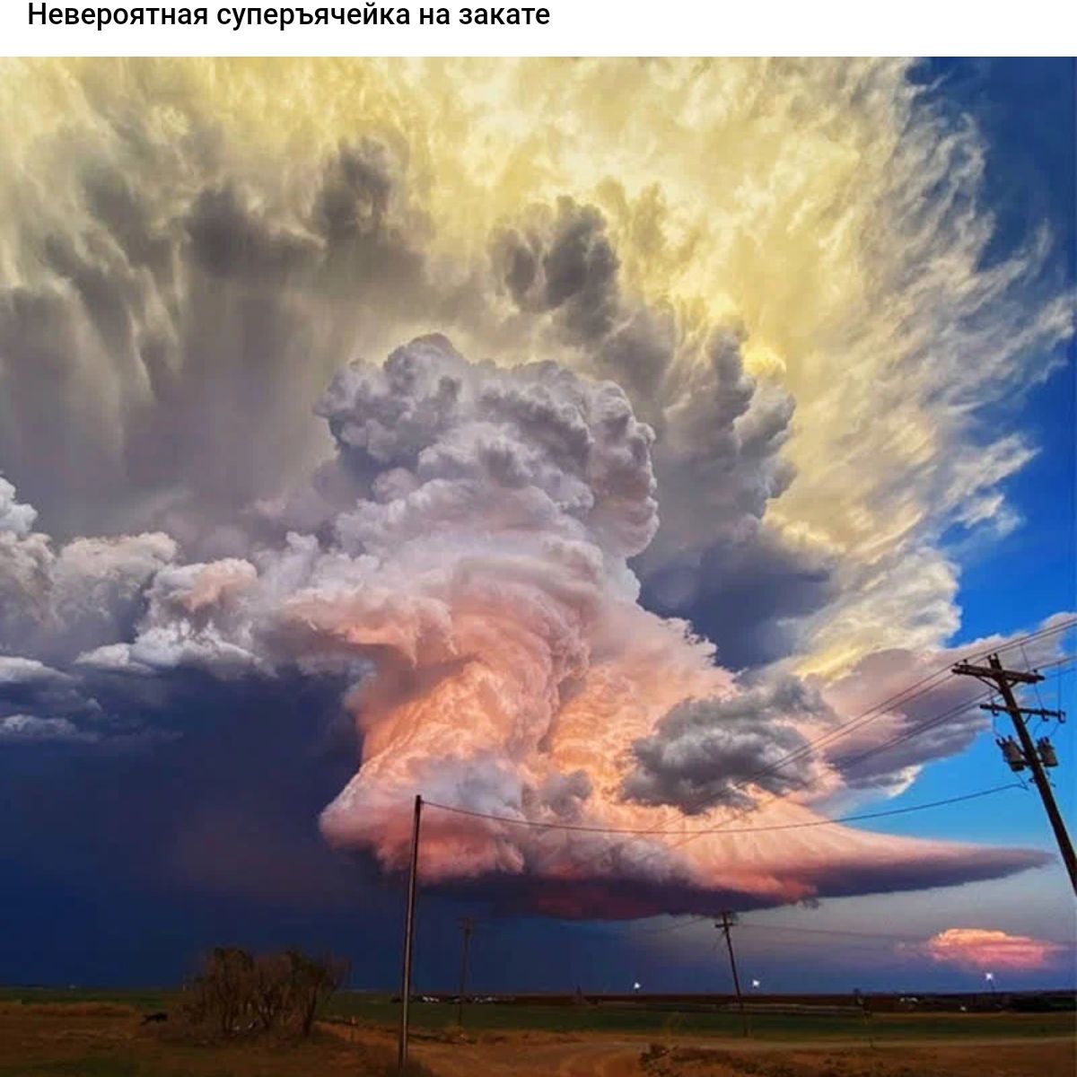 неверияшая суперъячейиа 1
