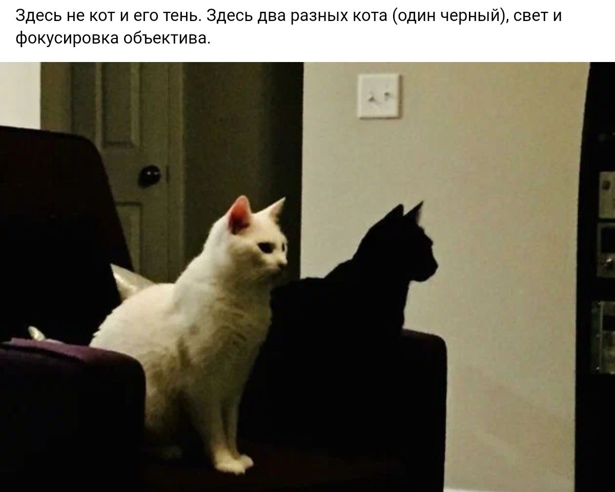 пити