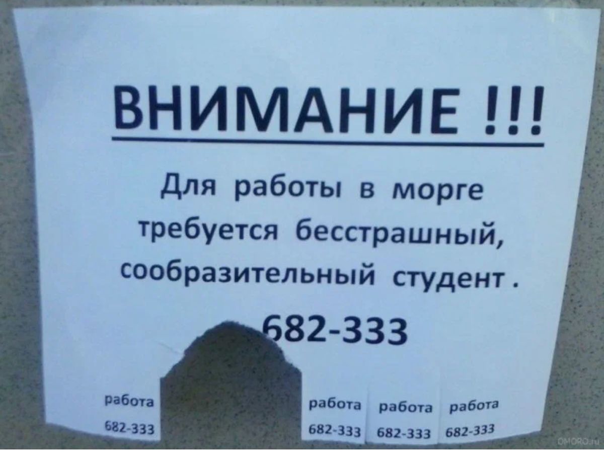 ВНИМАНИЕ Для работы в морге требуется бесстрашный Сообразительный студенг вп анг