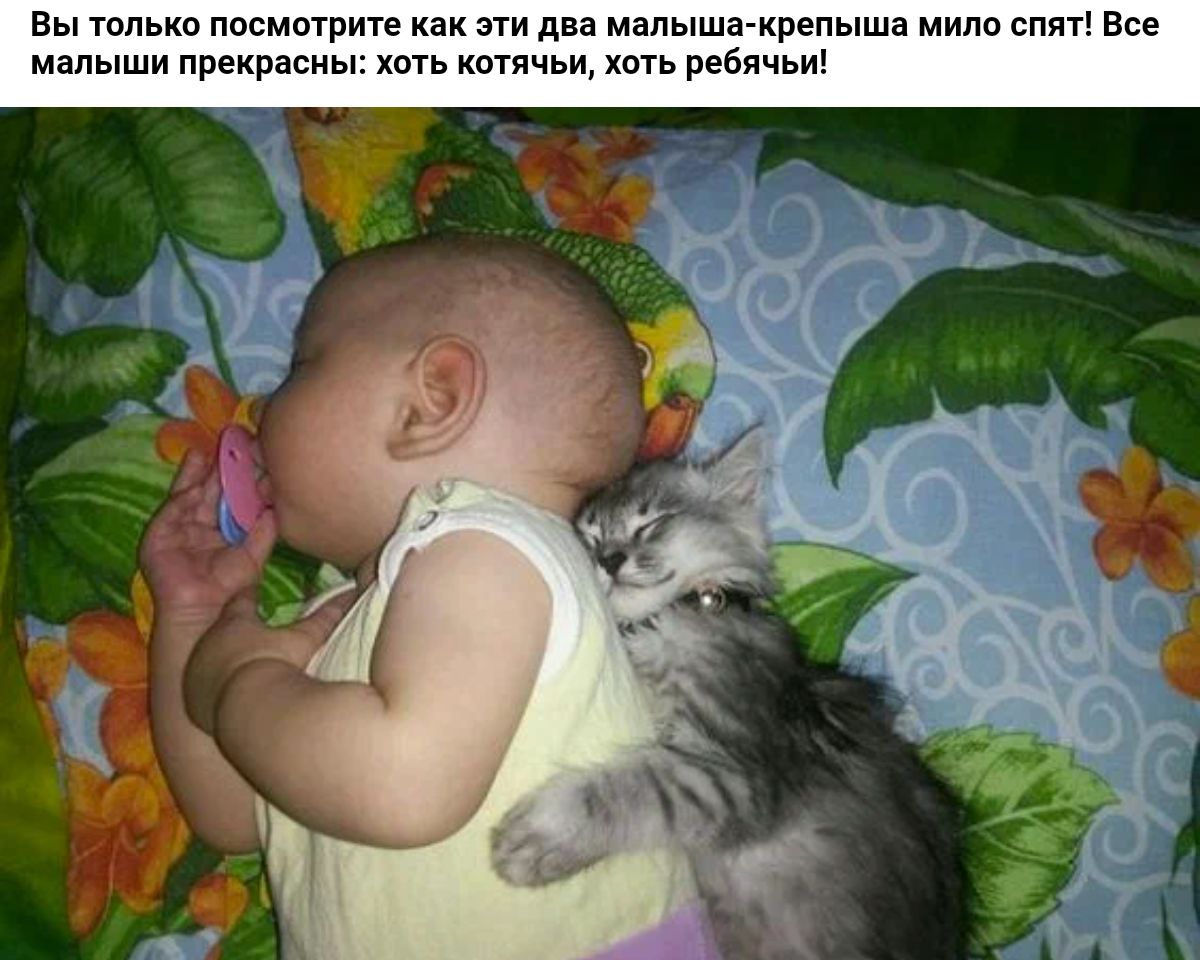Вы г ька посммрип как пи дм малыш крепышц мило сим Все мам и прекппсиь хоть катячьи отв оввячь