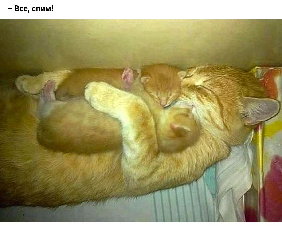 7 Все сними