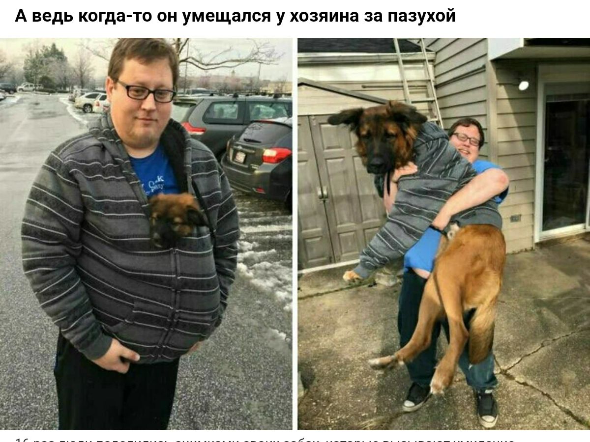 А ведь кагда тв пи умещапся у хозяина за паай
