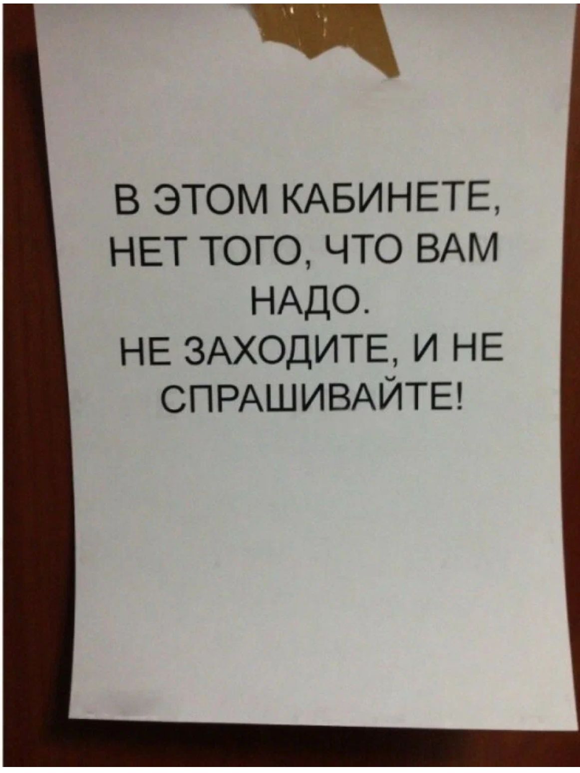 Коллеги по работе юмор. Цитаты про работу смешные. Прикольные фразы про работу. Афоризмы про работу. Веселые надписи на работе.