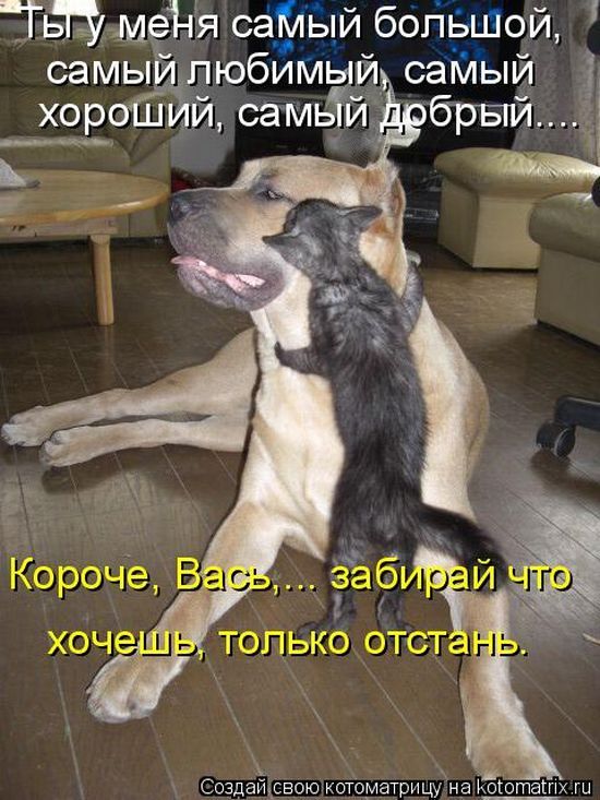 ТЁЦмеіія саКлый больШой самый юбим й саіиый хороШ __и самь и Создаи_свою котодмгриц на каюта