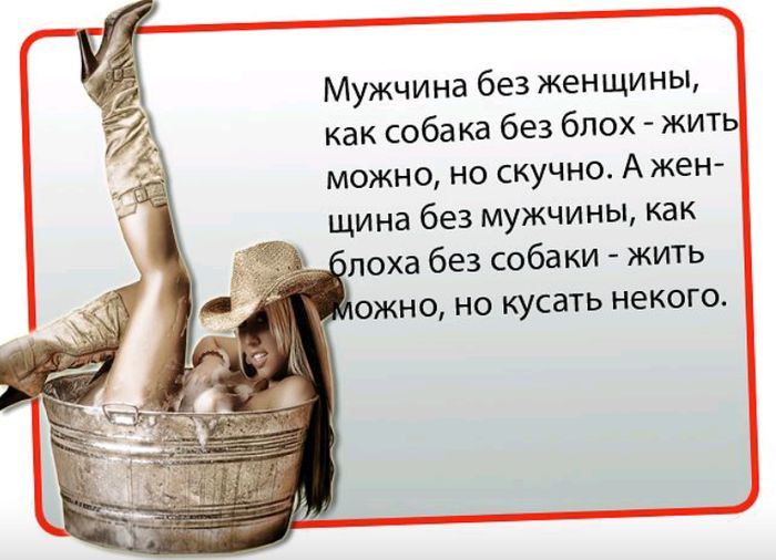 Мужчина без женщины как собака без блох жит можно но скучно А жен шина без мужчины как лоха без собаки жить ожно но кусать некога