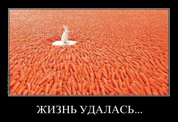 ЖИЗНЬ УДАЛАСЬ