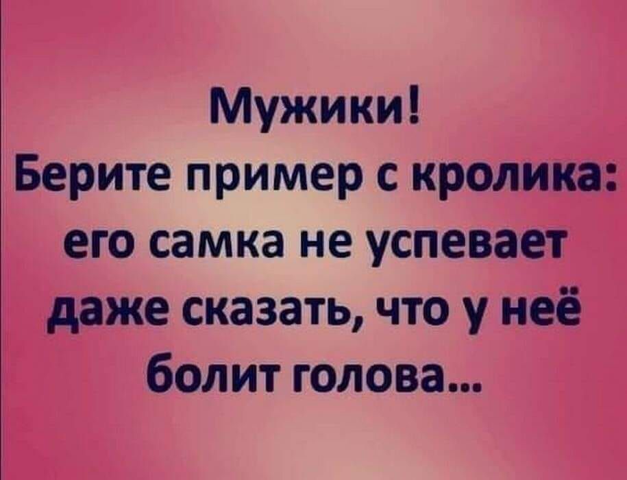 Мужики Берите пример с кролика его самка не успевает даже сказать что у неё болит голова