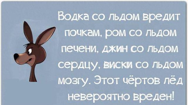 Водка со льдом вредит почкам ром со льдом печени дж со льдом сердцу виски со льдом мозгу Этот чёртов пёд невероятно вреден