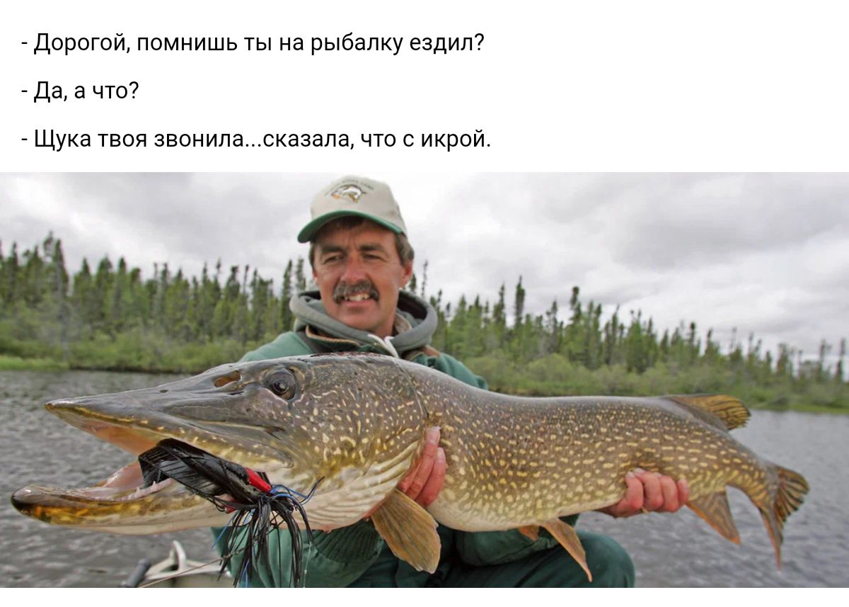 дПВптй псмиишь ты ни рыбалку еадил _ да а что Щуки твои звонила сказалачто икрой