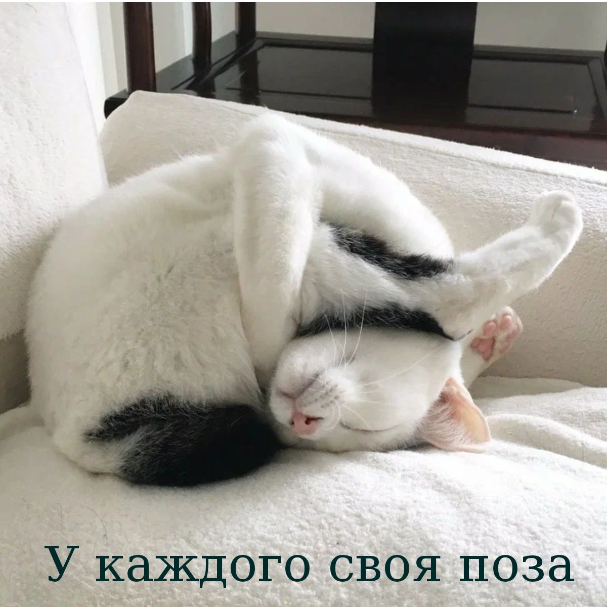 14 вы У каждого своя поза