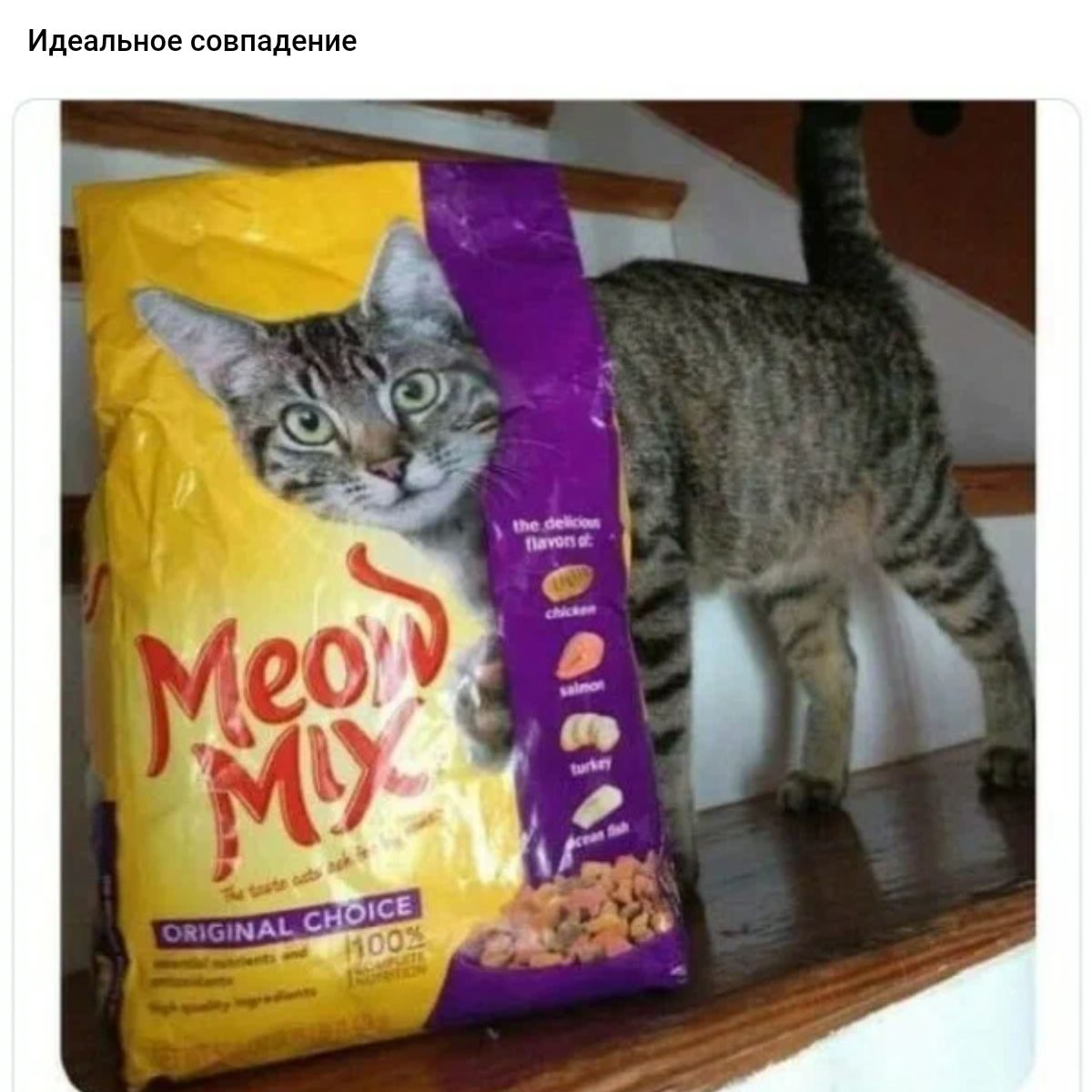 им выпадение
