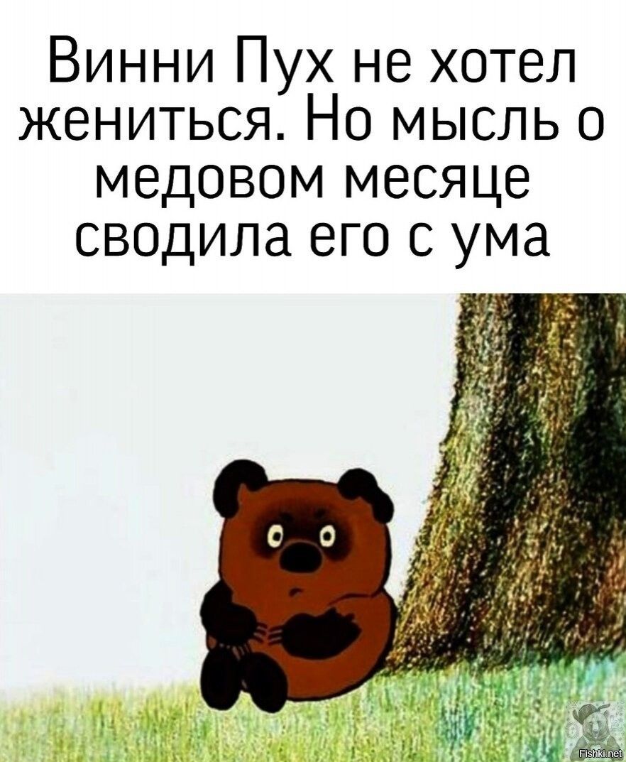 Винни Пух не хотел жениться Но мысль о медовом месяце сводила его с ума