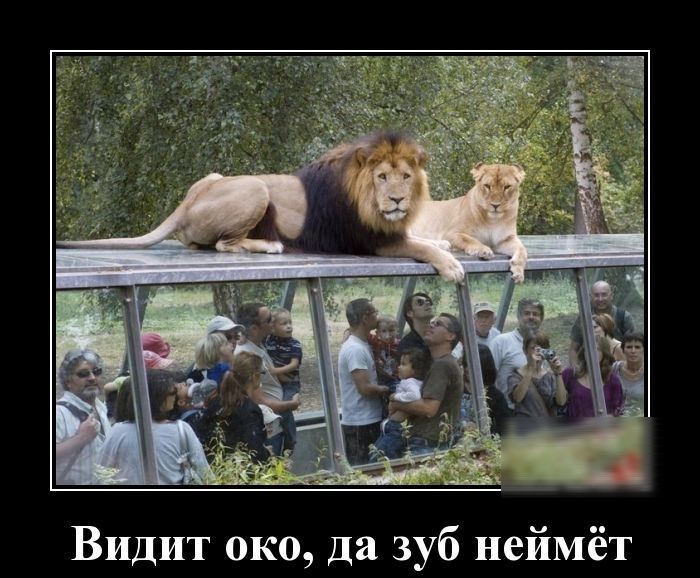 Видит око да зуб неймет