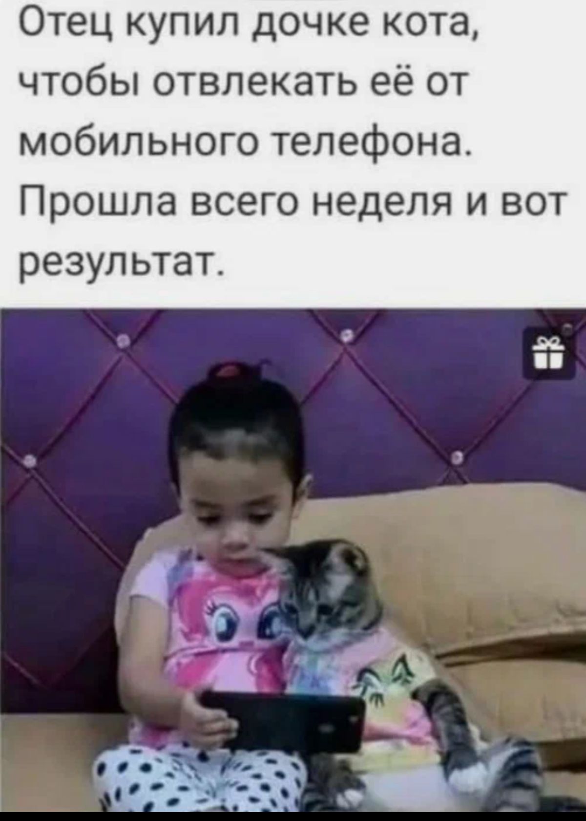 Отец купил дочке кота чтобы отвлекать её от мобильного телефона Прошла всего неделя и вот результат