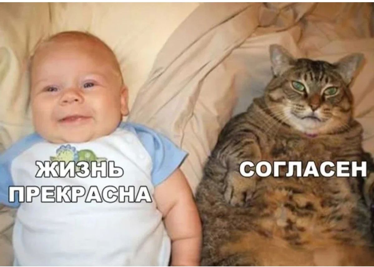 СО ГПАСЕН