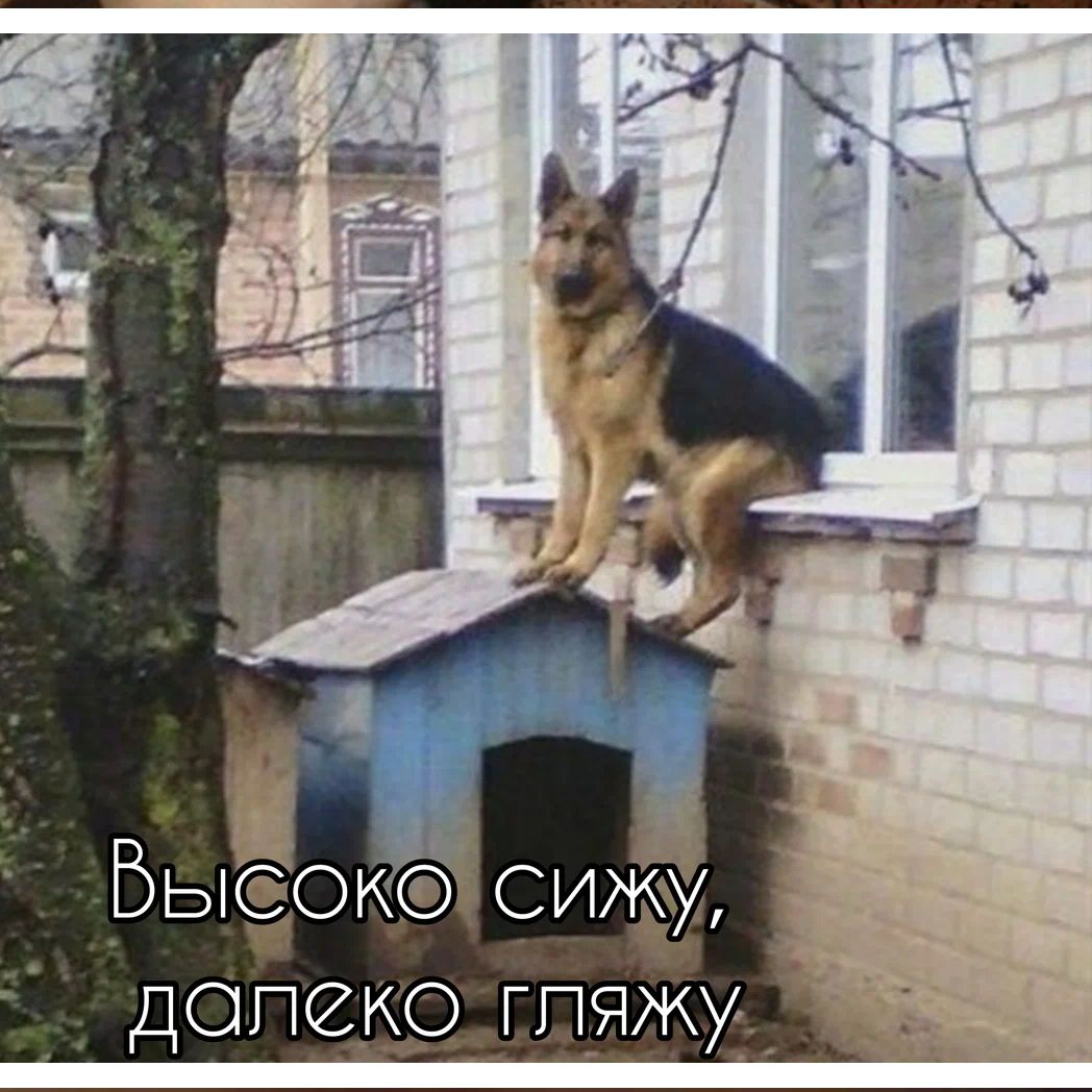 Бьок сина допеко тяжи