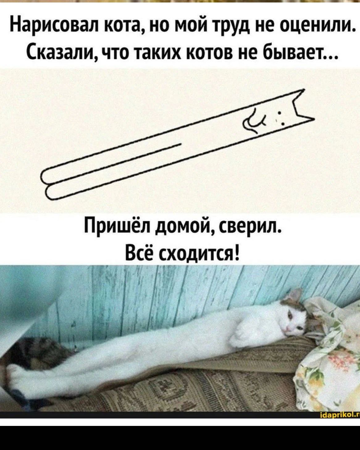 Нарисовал кота но мой труд не оценили Сказали что таких котов не бывает Пришёл домой верил Всё сходится