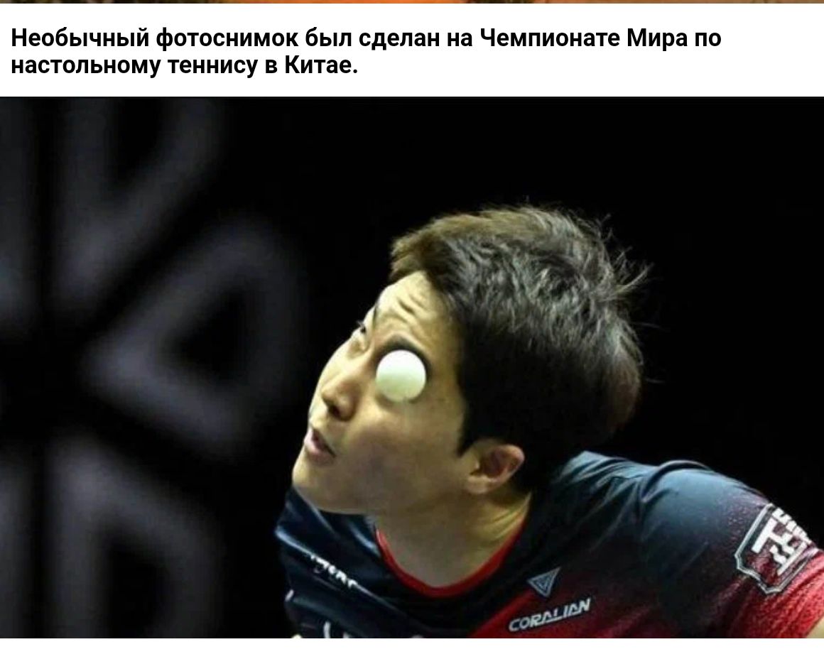 Непбычяый фотосиимик был сделан на Чемпипиате мира по настольному теииису Кипе