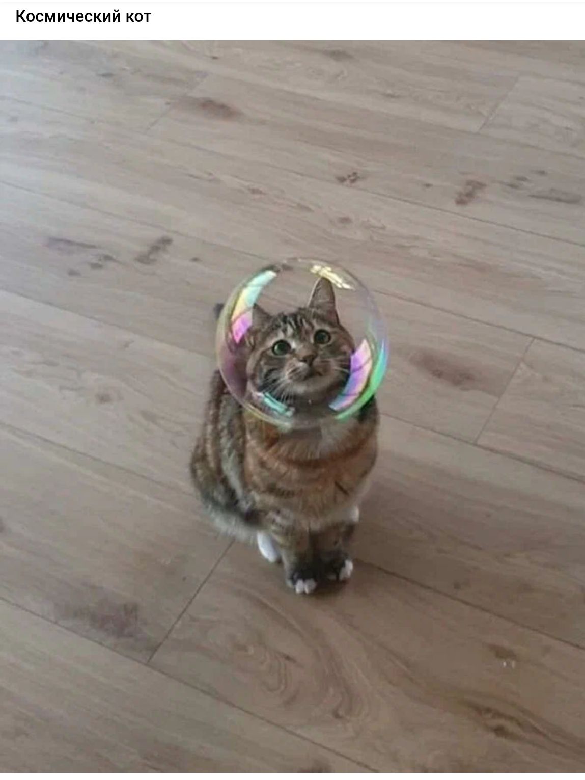 Космический каг